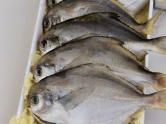 -玉林串串香(九号天地店)