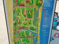 -日照海滨国家森林公园