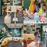 东莞探店｜遇见萌宠