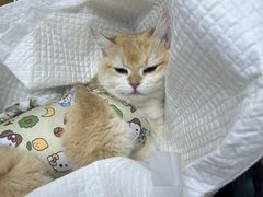 -宠颐生中康贝怡动物医院