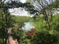 -紫霞湖公园