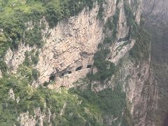 -王莽岭风景区