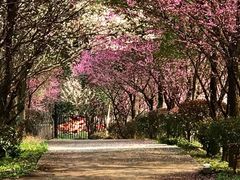 -南京市无想山景区