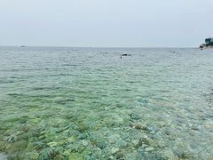 -养马岛旅游度假区