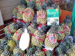 -百果园(三条巷店)