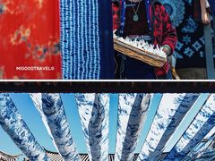 -璞真扎染博物馆