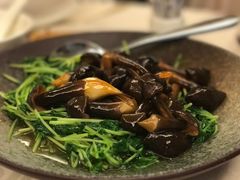 -同乐经典(乌节路店)