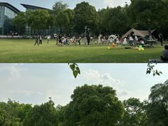 -上海吴淞炮台湾国家湿地公园