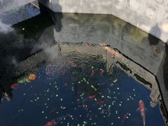 -西安市广仁寺