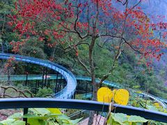 -温州永嘉书院