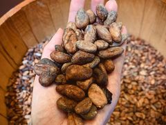 -歌斐颂巧克力小镇