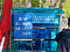 -王顺山国家森林公园