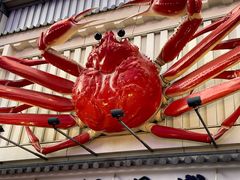 -蟹道乐(道顿堀本店)