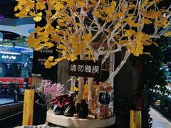 -田趣园