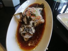 -碧丽宫大酒店(召稼楼店)
