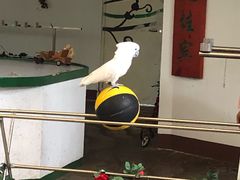 -南戴河国际娱乐中心