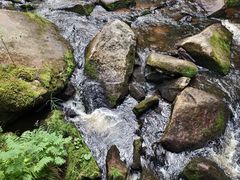 -汤旺河林海奇石景区