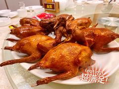 红烧乳鸽-金苑海鲜酒家(新港中路店)