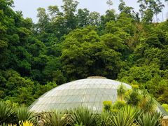 -深圳仙湖植物园