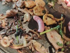 -杨小佳·齐齐哈尔烤肉·烤串(广州店)
