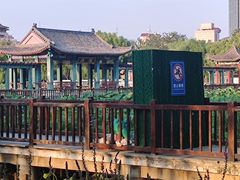 -莲花池公园