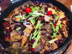 -老板恋上鱼(恒隆广场店)