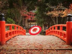 -醍醐寺