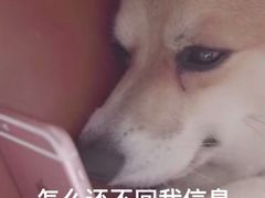 -千浔一暖DIY蛋糕烘焙(人民大学店)