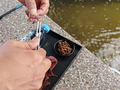 -粮心小农·大头虾亲子生态园(长发店)