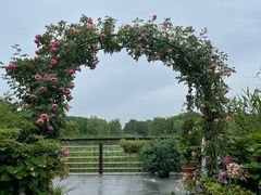 -昆山城市生态森林公园