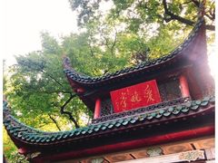 -黑色经典臭豆腐·湖南特产(步行街店)