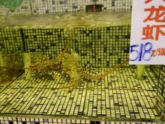 -金水门银河酒楼(新埠岛店)