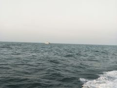 -日照灯塔风景区