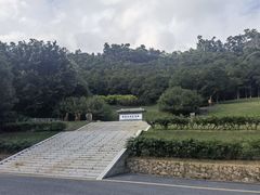-深圳仙湖植物园