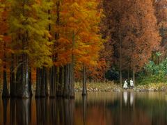 -白鹭湾湿地公园