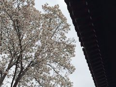 -红螺寺