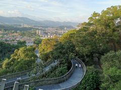-福道
