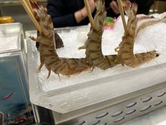 -红鼎豆捞·非遗鲍皇汤火锅(宝丰路店)