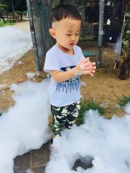 -上美四季动物农场