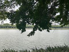 -南宁南湖公园