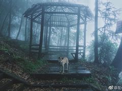 -重庆雨台山风景区