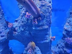 -广州海洋馆