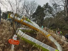 -杭州少年儿童公园