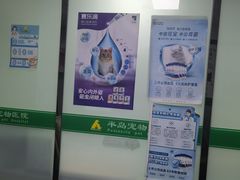 -半岛宠物医院24小时(科华中路店)