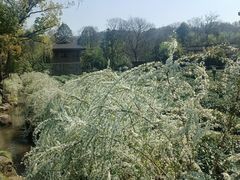 -中国茶叶博物馆(双峰馆区)