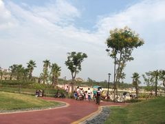 -九龙湖公园