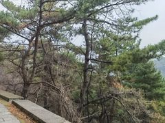 -金龙寺国家森林公园