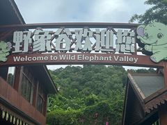 -野象谷景区