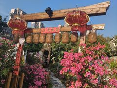 -三溪村
