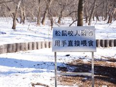 -北陵公园